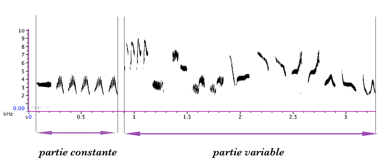 http://files.biolovision.net/www.gobg.ch/userfiles/RQFB/Structureduchant.png