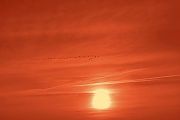 Flavignac � Photo Isabelle PRADIER