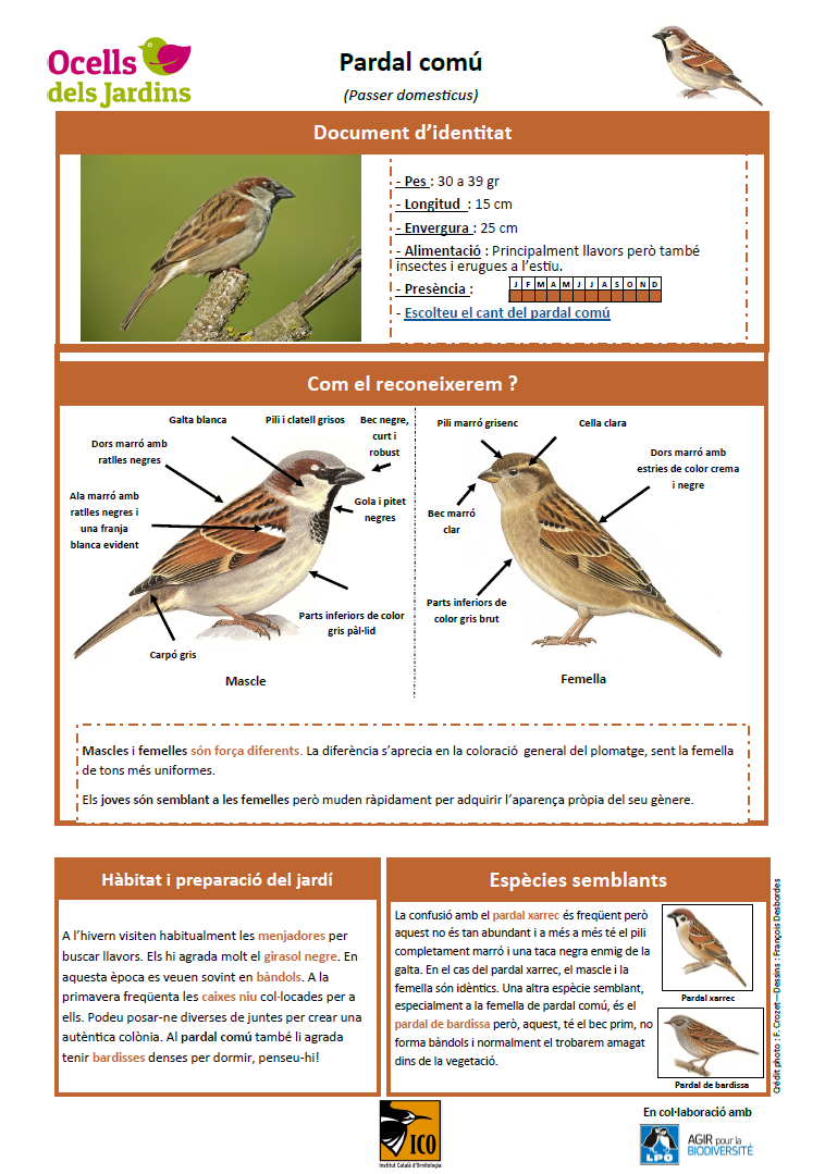http://files.biolovision.net/www.ocellsdelsjardins.cat/userfiles/pasdom.png