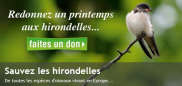 http://www.lpo.fr/faites-un-don/sauvez-les-hirondelles