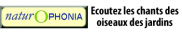 http://www.naturophonia.fr/