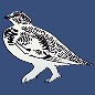 http://www.nosoiseaux.ch