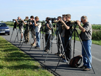 http://files.biolovision.net/www.ornitho.de/userfiles/Wilhelmshaven050808.jpg