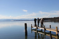 http://files.biolovision.net/www.ornitho.de/userfiles/infoblaetter/Anleitungen/Vogelmonitoring/WVZ/WVZ-StaSee-PBruetzel.jpg