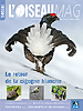 L'Oiseau Magazine
