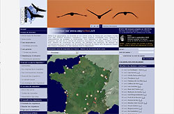 http://www.migraction.net/
