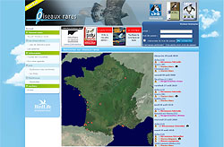 http://www.ornitho.fr/oiseauxrares/